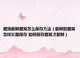 鹿場新鮮鹿茸怎么保存方法（新鮮的鹿茸怎樣長期保存 如何保存鹿茸才新鮮）