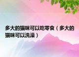 多大的貓咪可以吃零食（多大的貓咪可以洗澡）