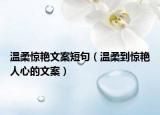 溫柔驚艷文案短句（溫柔到驚艷人心的文案）