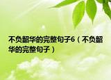 不負(fù)韶華的完整句子6（不負(fù)韶華的完整句子）