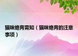 貓咪絕育需知（貓咪絕育的注意事項(xiàng)）
