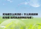 買海螺怎么挑活的（怎么挑選新鮮的海螺 如何挑選新鮮的海螺）