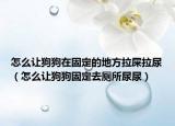 怎么讓狗狗在固定的地方拉屎拉尿（怎么讓狗狗固定去廁所尿尿）