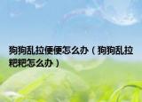 狗狗亂拉便便怎么辦（狗狗亂拉粑粑怎么辦）