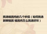 挑選桂圓肉的幾個妙招（如何挑選新鮮桂圓 桂圓肉怎么挑選好壞）