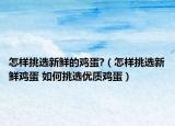 怎樣挑選新鮮的雞蛋?（怎樣挑選新鮮雞蛋 如何挑選優(yōu)質(zhì)雞蛋）