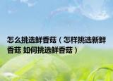 怎么挑選鮮香菇（怎樣挑選新鮮香菇 如何挑選鮮香菇）