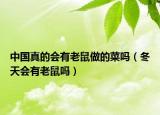 中國(guó)真的會(huì)有老鼠做的菜嗎（冬天會(huì)有老鼠嗎）