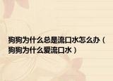 狗狗為什么總是流口水怎么辦（狗狗為什么愛(ài)流口水）