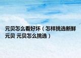 元貝怎么看好壞（怎樣挑選新鮮元貝 元貝怎么挑選）