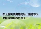 怎么解決怕狗的問(wèn)題（怕狗怎么克服很怕狗怎么辦）