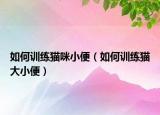 如何訓練貓咪小便（如何訓練貓大小便）