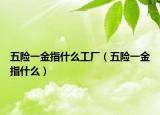 五險(xiǎn)一金指什么工廠（五險(xiǎn)一金指什么）
