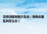 怎樣訓(xùn)練狗狗不亂叫（狗狗總是亂叫怎么辦）