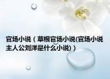 官場(chǎng)小說(shuō)（草根官場(chǎng)小說(shuō)(官場(chǎng)小說(shuō)主人公劉洋是什么小說(shuō))）