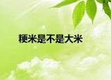 粳米是不是大米