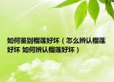 如何鑒別榴蓮好壞（怎么辨認(rèn)榴蓮好壞 如何辨認(rèn)榴蓮好壞）
