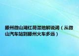 滕州微山湖紅荷濕地解說詞（從微山汽車站到滕州火車多遠(yuǎn)）