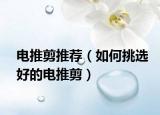 電推剪推薦（如何挑選好的電推剪）