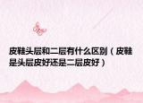 皮鞋頭層和二層有什么區(qū)別（皮鞋是頭層皮好還是二層皮好）
