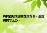 瘋狗強(qiáng)尼未刪減在線觀看（遇到瘋狗怎么辦）