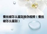 蠶絲被怎么鑒別真?zhèn)我曨l（蠶絲被怎么鑒別）
