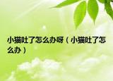 小貓吐了怎么辦呀（小貓吐了怎么辦）