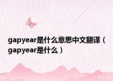 gapyear是什么意思中文翻譯（gapyear是什么）