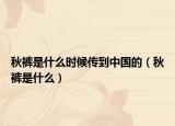 秋褲是什么時(shí)候傳到中國(guó)的（秋褲是什么）