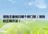 遛狗不牽繩歸哪個部門管（遛狗的正確方法）