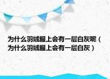 為什么羽絨服上會有一層白灰呢（為什么羽絨服上會有一層白灰）