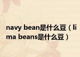 navy bean是什么豆（lima beans是什么豆）