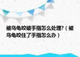被烏龜咬破手指怎么處理?（被烏龜咬住了手指怎么辦）