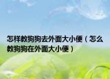 怎樣教狗狗去外面大小便（怎么教狗狗在外面大小便）