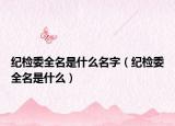 紀(jì)檢委全名是什么名字（紀(jì)檢委全名是什么）
