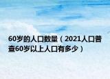 60歲的人口數(shù)量（2021人口普查60歲以上人口有多少）