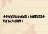 金錢(qián)白花蛇的偽品（如何鑒別金錢(qián)白花蛇真假）