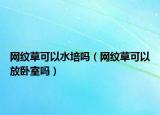 網(wǎng)紋草可以水培嗎（網(wǎng)紋草可以放臥室嗎）
