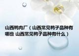山西鴨肉廠（山西常見鴨子品種有哪些 山西常見鴨子品種有什么）