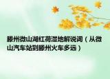 滕州微山湖紅荷濕地解說詞（從微山汽車站到滕州火車多遠(yuǎn)）