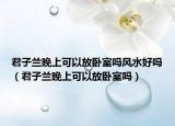 君子蘭晚上可以放臥室嗎風(fēng)水好嗎（君子蘭晚上可以放臥室嗎）