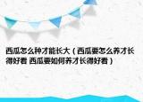 西瓜怎么種才能長大（西瓜要怎么養(yǎng)才長得好看 西瓜要如何養(yǎng)才長得好看）