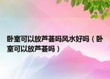 臥室可以放蘆薈嗎風(fēng)水好嗎（臥室可以放蘆薈嗎）