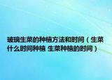 玻璃生菜的種植方法和時間（生菜什么時間種植 生菜種植的時間）