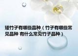 矮竹子有哪些品種（竹子有哪些常見品種 有什么常見竹子品種）