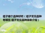 蟶子哪個(gè)品種好吃（蟶子常見(jiàn)品種有哪些 蟶子常見(jiàn)品種簡(jiǎn)單介紹）