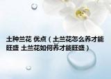 土種蘭花 優(yōu)點（土蘭花怎么養(yǎng)才能旺盛 土蘭花如何養(yǎng)才能旺盛）