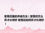 紫薇花苗的養(yǎng)殖方法（紫薇花怎么養(yǎng)才長得好 紫薇花如何養(yǎng)才長得好）
