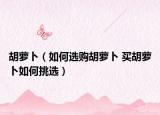 胡蘿卜（如何選購胡蘿卜 買胡蘿卜如何挑選）