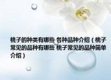 桃子的種類有哪些 各種品種介紹（桃子常見的品種有哪些 桃子常見的品種簡單介紹）
